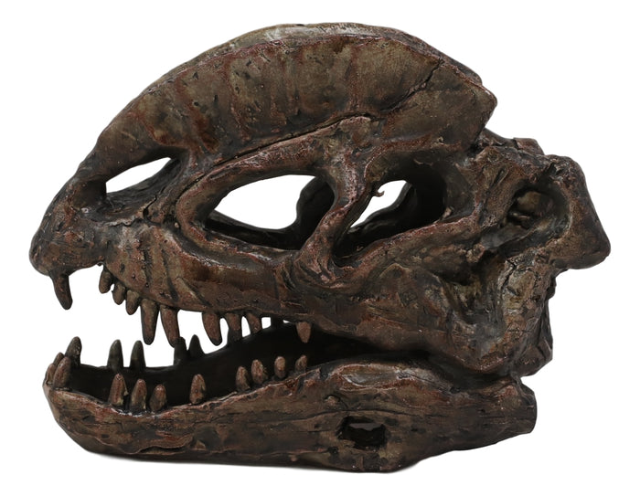 Faux Taxidermy Replica Dilophosaurus Dinosaur Head Fossil Small Skull Figurine