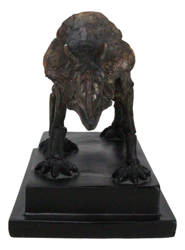 Faux Taxidermy Triceratops Dinosaur Fossil Figurine On Museum Display Base Stand