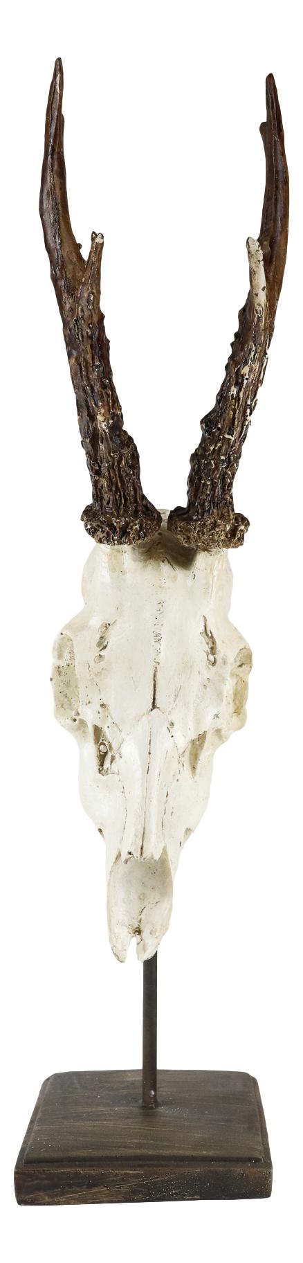 Large 15"H Rustic Roe Deer Buck Head Skull On Museum Pole Stand Base Figurine