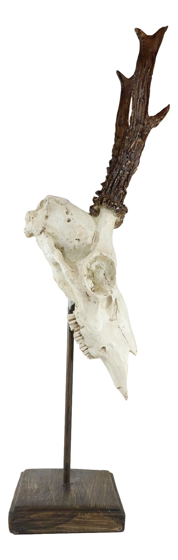 Large 15"H Rustic Roe Deer Buck Head Skull On Museum Pole Stand Base Figurine