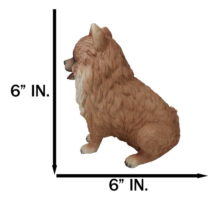 Lifelike Adorable Pet Pal Sitting Pomeranian Spitz Puppy Dog Figurine 6"H