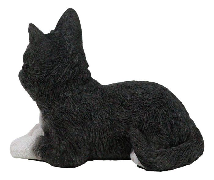 Lifelike Sitting Tuxedo Black And White Feline Kitten Cat Pet Pal Figurine