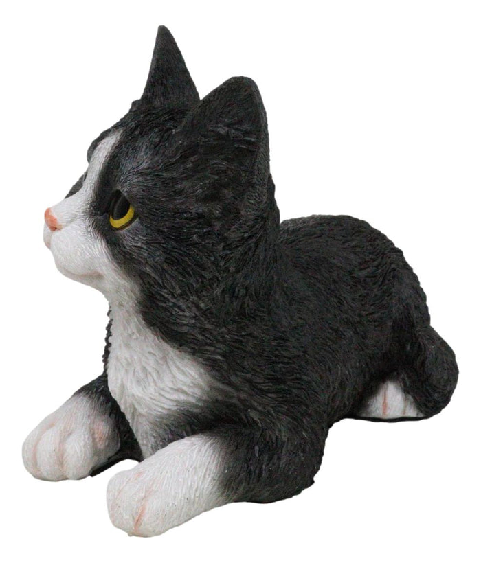 Lifelike Sitting Tuxedo Black And White Feline Kitten Cat Pet Pal Figurine