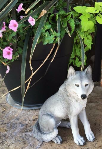 Majestic Mythical Sitting Gray Alpha Wolf Statue Figurine Timberwolves Decor