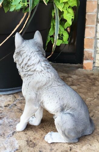 Majestic Mythical Sitting Gray Alpha Wolf Statue Figurine Timberwolves Decor