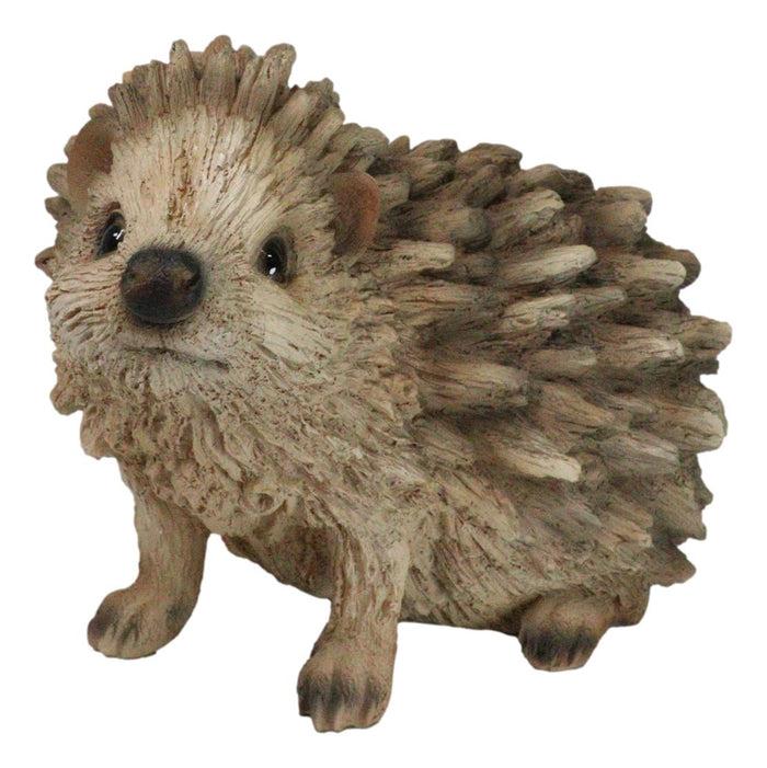 Realistic Faux Driftwood Finish Wild Spiny Mammal Hedgehog Animal Figurine 9"L
