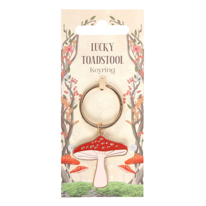 Set Of 2 Lucky Toadstool Mushroom Metal Fortune Talisman Keyrings Keychains